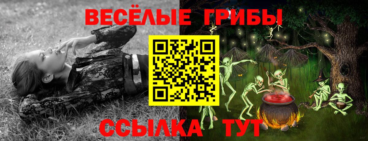 Острогожск  Псилоцибиновые грибы Magic Shrooms  дарнет шоп  Вход с VPN  Псилоцибиновые грибы Psilocybe 
